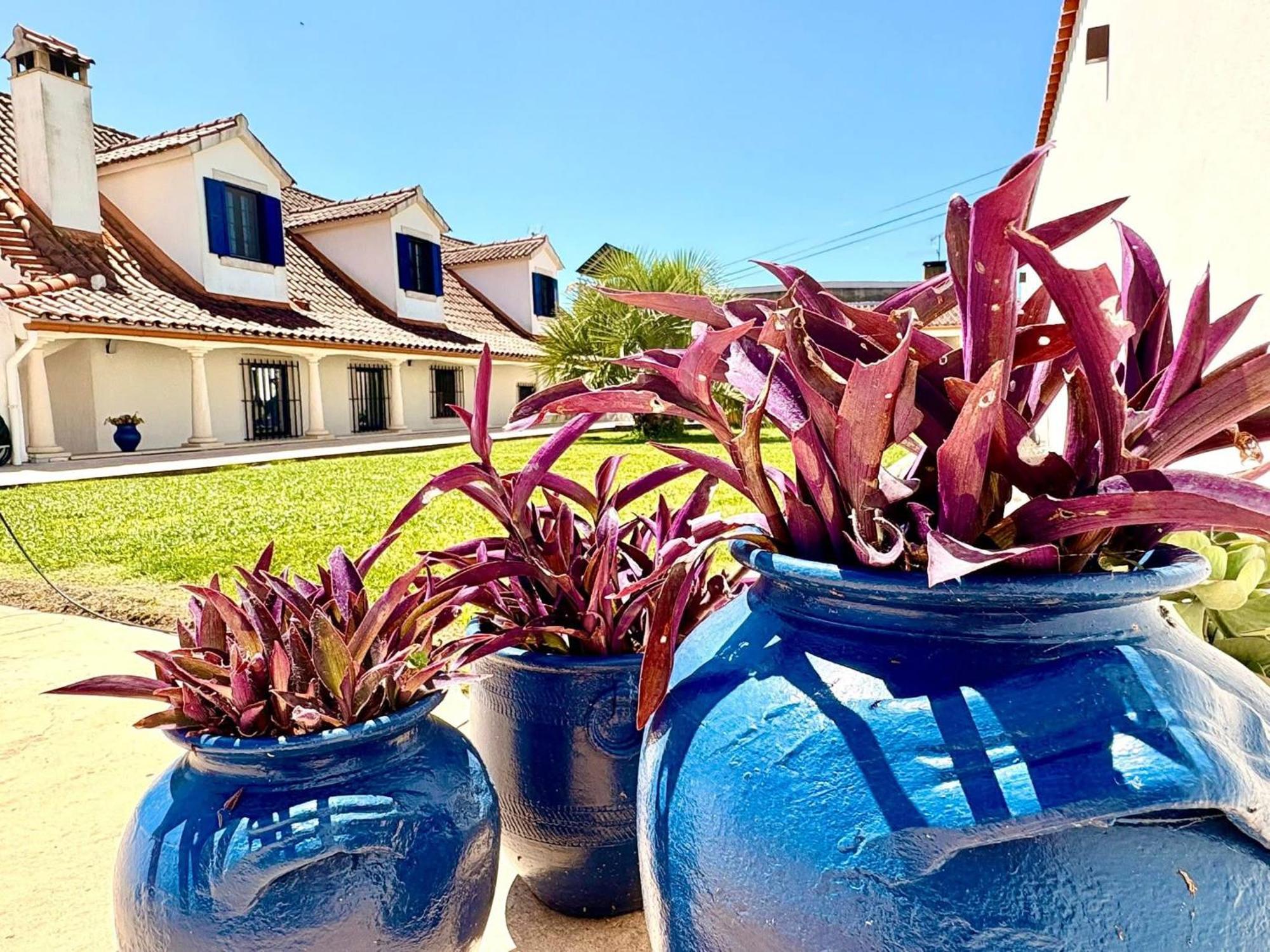 Casal Dos Frades Bed & Breakfast Fontainhas  Eksteriør bilde